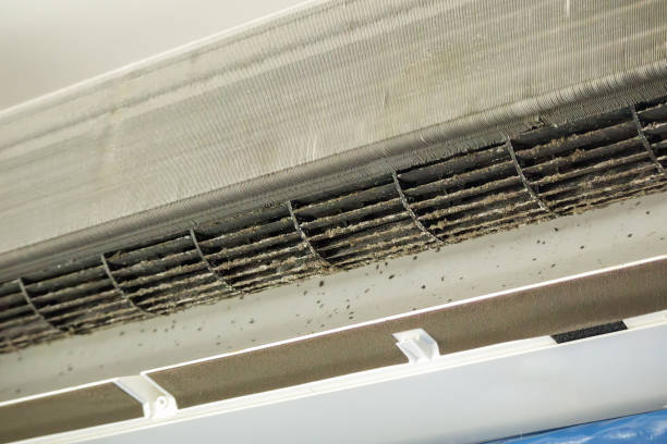 Best Air Vent Cleaning Services  in Gibbon, NE